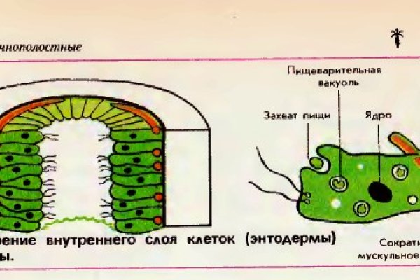 Kraken даркнет площадка